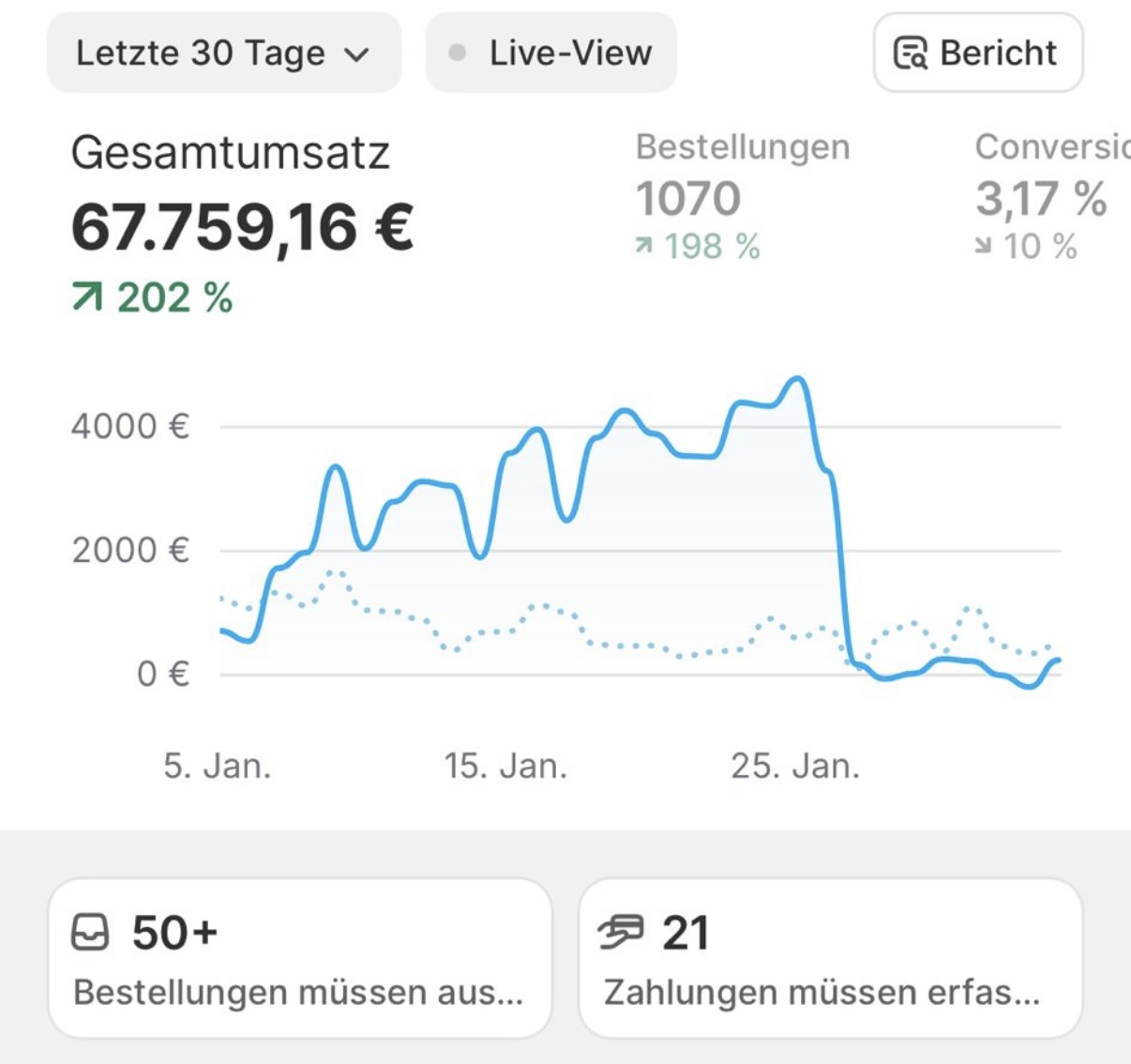 Shopify Ergebnis 4